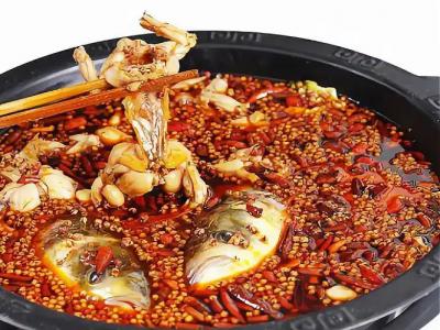 美蛙鱼火锅技术培训班怎么样？飘味缘餐饮培训学校值得选择