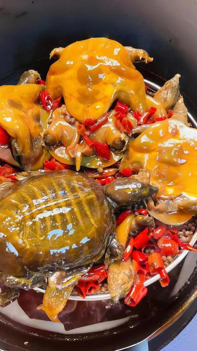 秘制甲鱼技术培训课程内容有哪些？成都飘味缘餐饮培训班